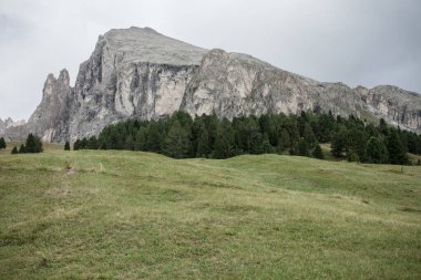 İtalya 'nın Dolomitler bölgesinde geniş çayırlık