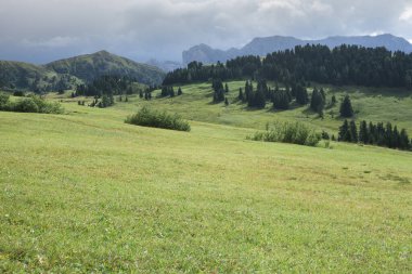 İtalya 'nın Dolomitler bölgesinde geniş çayırlık