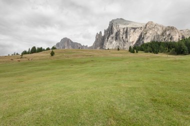 İtalya 'nın Dolomitler bölgesinde geniş çayırlık
