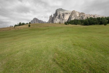 İtalya 'nın Dolomitler bölgesinde geniş çayırlık