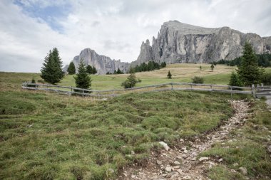 İtalya 'nın Dolomitler bölgesinde geniş çayırlık