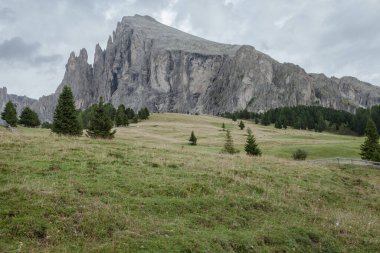 İtalya 'nın Dolomitler bölgesinde geniş çayırlık