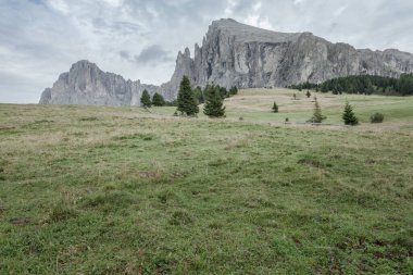 İtalya 'nın Dolomitler bölgesinde geniş çayırlık