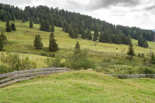 Dolomitler 'de bir dağ otlağının üzerinde harika manzaralı küçük bir ev.
