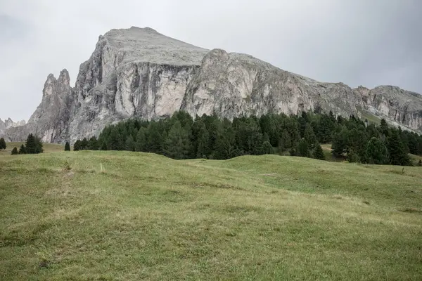 İtalya 'nın Dolomitler bölgesinde geniş çayırlık