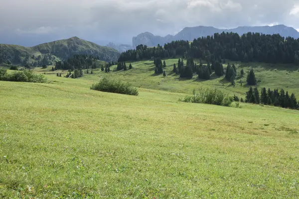 İtalya 'nın Dolomitler bölgesinde geniş çayırlık