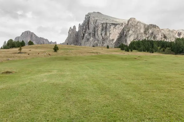 İtalya 'nın Dolomitler bölgesinde geniş çayırlık