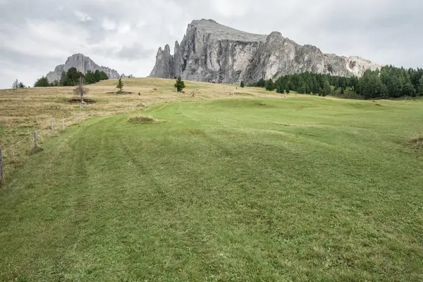 İtalya 'nın Dolomitler bölgesinde geniş çayırlık