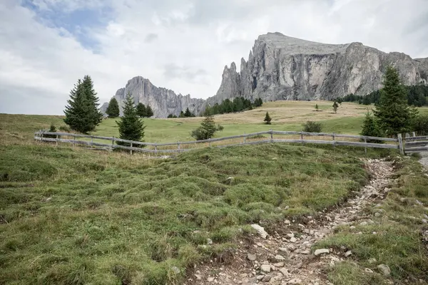 İtalya 'nın Dolomitler bölgesinde geniş çayırlık