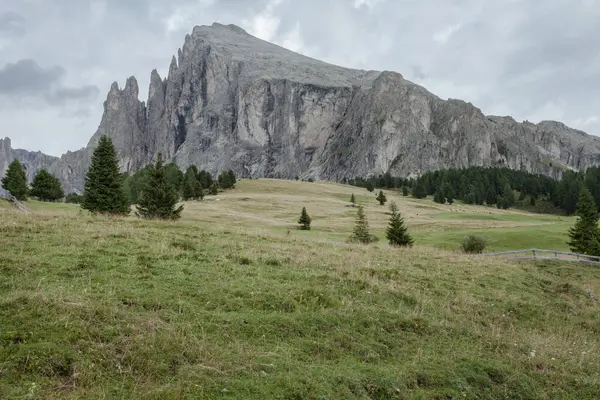 İtalya 'nın Dolomitler bölgesinde geniş çayırlık