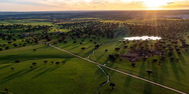 Alentejos Çiftliği 'nin kırsal manzarası