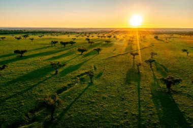 Sunset 'teki Alentejos Çiftliği' nin kırsal manzarası