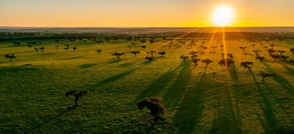 Luftaufnahme Der Landschaft Der Alentejos Farm Ranches Bei Sonnenuntergang — Stockfoto