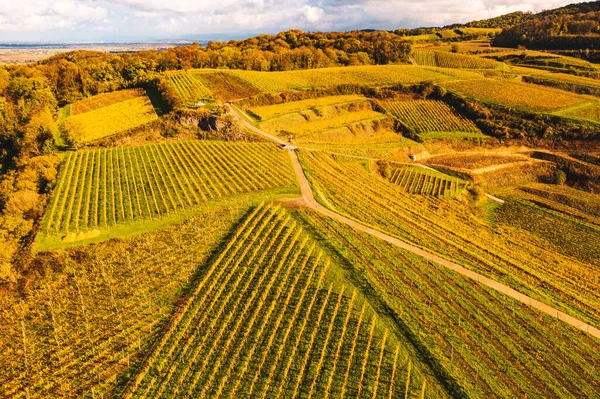 Вид Воздуха Виноградников Осеннего Цвета Германии Kaiserstuhl — стоковое фото