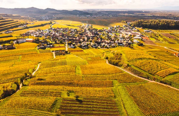 Drohnen Luftaufnahme Von Den Herbstlich Gefärbten Weinbergen Kaiserstuhl — Stockfoto