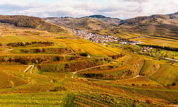 stock image drone aerial view from Autumn colored vineyards in the Kaiserstuhl Germany