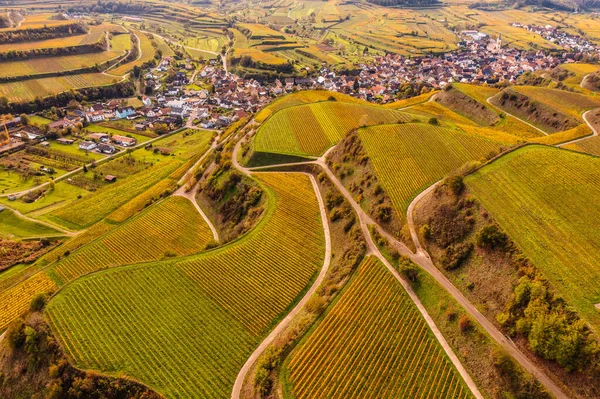 Drohnen Luftaufnahme Von Den Herbstlich Gefärbten Weinbergen Kaiserstuhl — Stockfoto