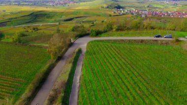 Almanya 'nın Kaiserstuhl bölgesindeki sonbahar renkli üzüm bağlarından insansız hava aracı görüntüsü