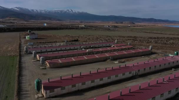 西班牙安达卢西亚畜牧业设施的空中景观 — 图库视频影像