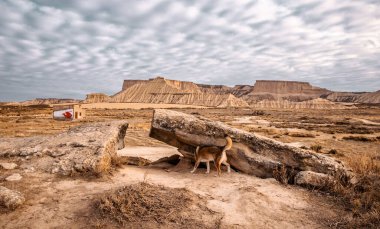 Bardenas Reales de Navarra İspanya 'nın çorak manzarası