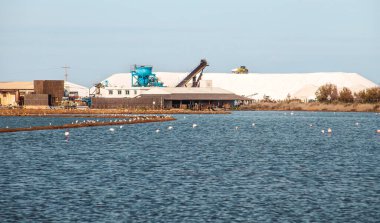 Salinas de Huelva 'nın manzarası