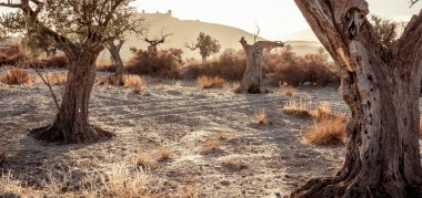 İspanya 'nın Almerya bölgesindeki Tabernas çölünde kıyamet sonrası benzeri bir manzara.