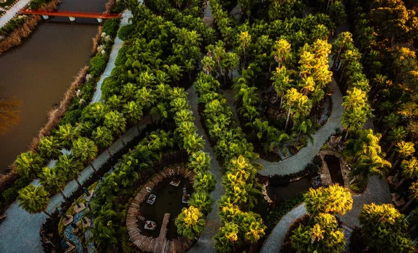Luftaufnahme Des Orientalischen Gartens Bacalhoa Buddha Eden Carvalhal Portugal — Stockfoto