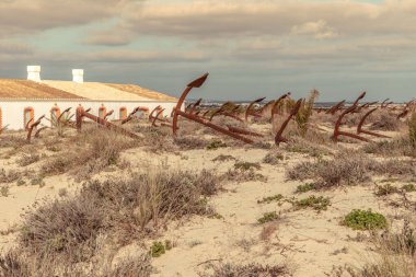 Barril sahilindeki kum tepelerindeki eski balıkçı teknelerinin eski çapalarının mezarlığı Algarve