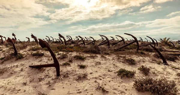 stock image Cemetery of the old anchors of the former tuna fishing ships in the sand dunes on Barril beach Algarve