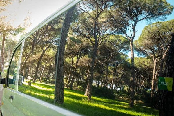 Stock image detailed view of a minivan with forest reflection in the windows