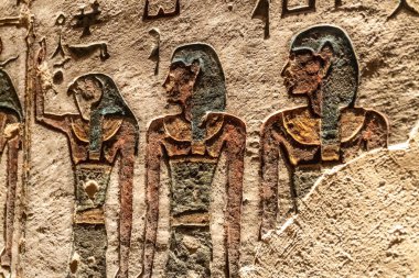 Firavun Ramses 'in mezarındaki Mısır hiyeroglifleri.