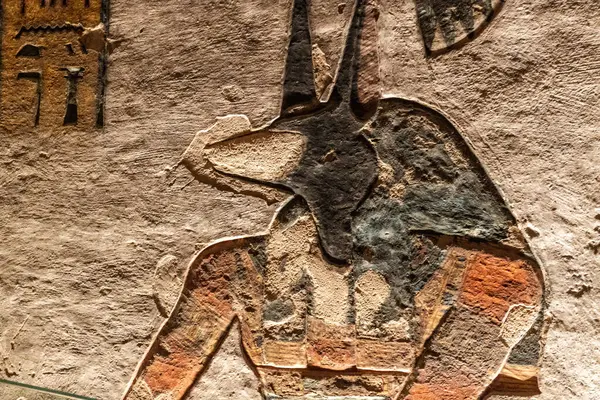 Egyptiska Hieroglyfer Väggar Graven Farao Ramses Royaltyfria Stockfoton