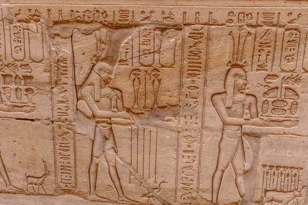 Hieroglyfické Stěny Chrámu Horus Egyptě Stock Obrázky