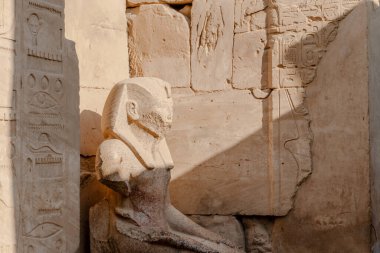 Karnak 'taki Nil' in kıyısındaki Luxor Tapınağı 'nın ayrıntılı görüntüsü