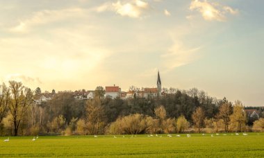 Yeşil çayır üzerinde kuğular olan Bad Abbbach şehri.