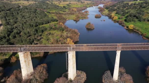 葡萄牙Serpa Guadiana河谷上的旧铁路桥 — 图库视频影像