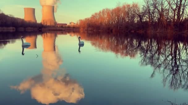 Paysage Marin Idyllique Trompeur Avec Des Cygnes Devant Centrale Nucléaire — Video