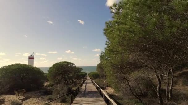 Landschap Het Nationaal Park Coto Donana Spanje Wandelweg Naar Het — Stockvideo
