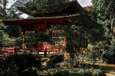 Sanayi bölgesi Chempark Leverkusen 'deki Carl Duisberg Parkı' ndaki Japon bahçesinde manzara Almanya 'nın en güzel bahçelerini geziyor.