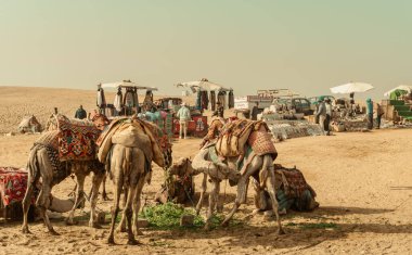 Giza Mısır Ocak 2024