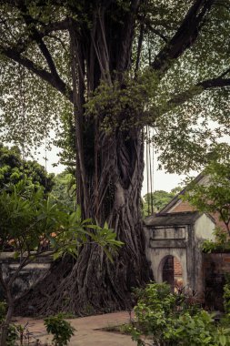 Hanoi Vietnam 'daki Edebiyat Tapınağı' nın manzarası