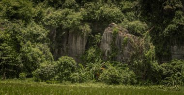 Vietnam 'da Tam Coc-Bich Dong' un Doğa Manzarası
