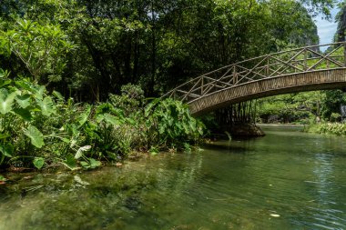 Vietnam 'da Tam Coc-Bich Dong' un Doğa Manzarası