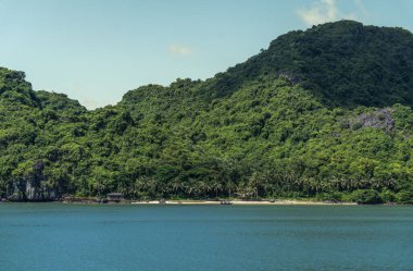 Vietnam 'daki Tonkin Körfezi' nde Halong Körfezi 'nin Doğa Manzarası