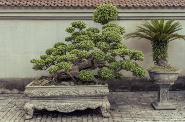 Quang Ninh Vietnam 'daki Miras Yen Tu' nun MGaleri parkının detaylı manzarası.