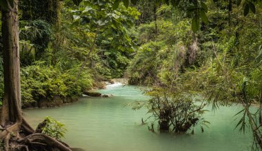 Kuang Si Şelalesi Laos 'taki Tat Kuang Si Parkı' nda.