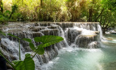 Kuang Si Şelalesi Laos 'taki Tat Kuang Si Parkı' nda.