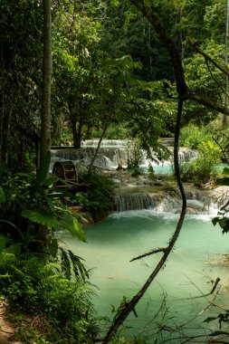 Kuang Si Şelalesi Laos 'taki Tat Kuang Si Parkı' nda.