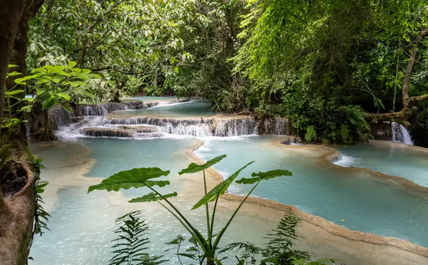 stock image Kuang Si Waterfall in the Tat Kuang Si Park nature reserve in Laos