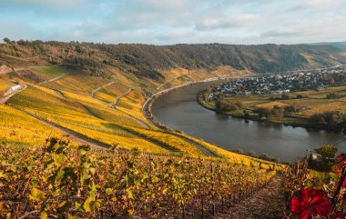 Moselle manzarası rengarenk sonbahar renkleri ve köy Wolf Almanya güzel yerler.